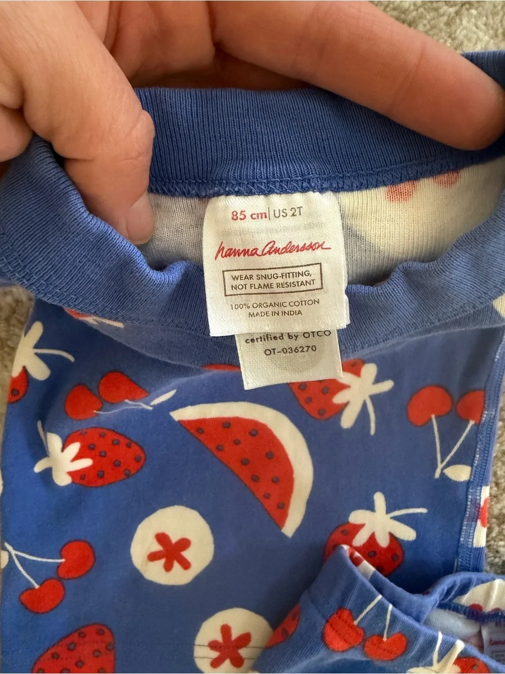 Hanna Andersson Blue Red White Fruit Print Pajama Set